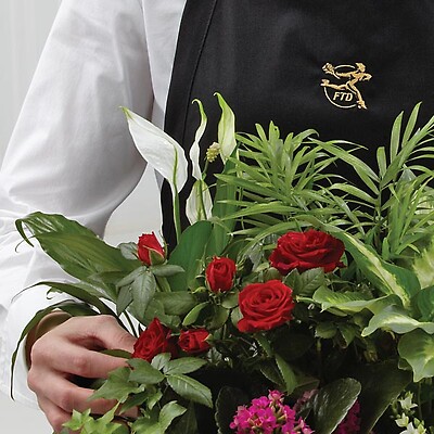 Florist Designed Green Plant in a Basket